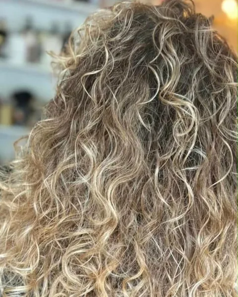 Natural curls with bright blonde highlights through dark roots